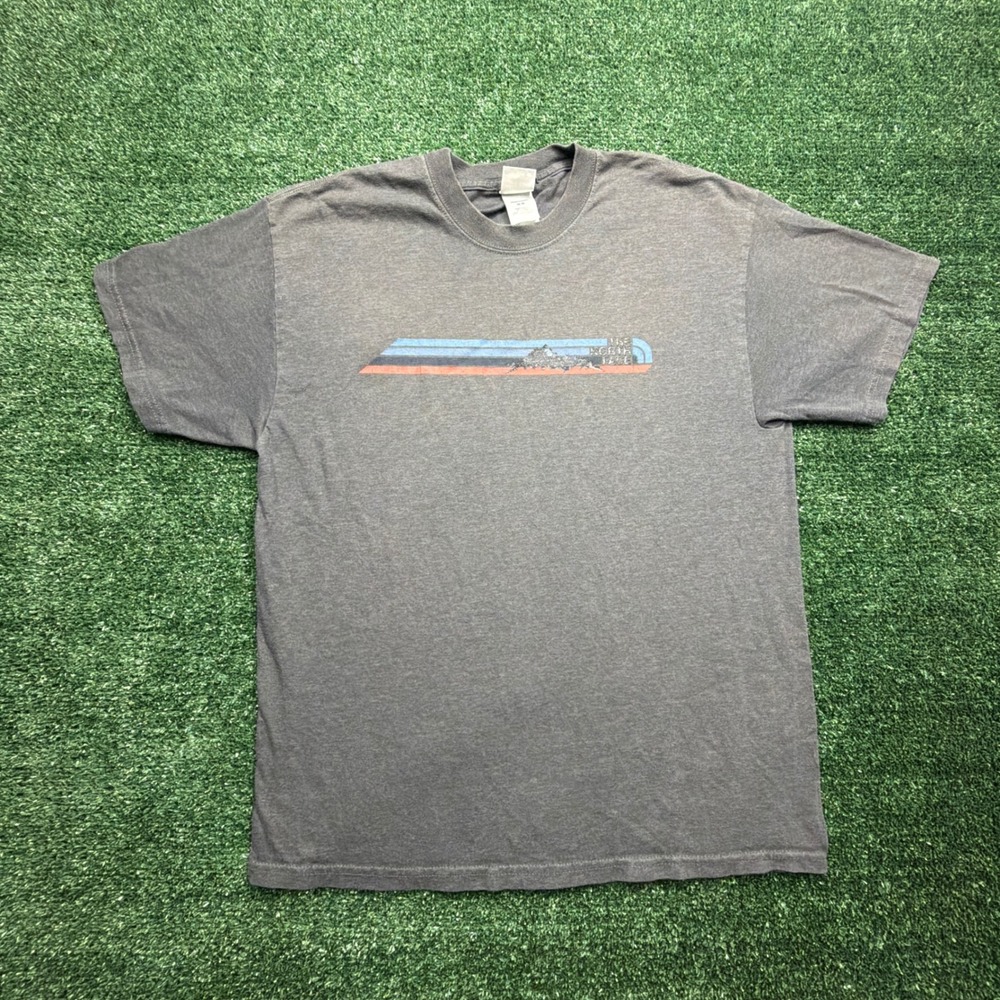 The North Face Mens Graphic T-Shirt Gray Mountain Retro Stripe Short Sleeve M